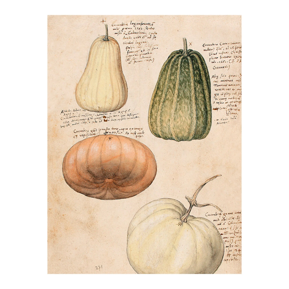 Sköna ting poster anno 1550 18 x 24 cm anna und ole shop