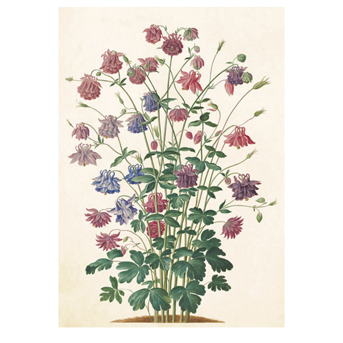 Sköna ting postkarte mit umschlag Vintage wildblumen anna und ole shop