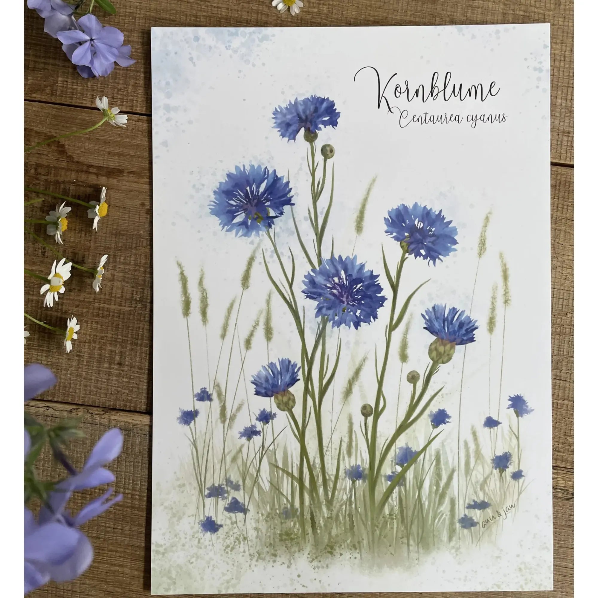 Ann & Jan poster din a 4 kornblume anna und ole shop