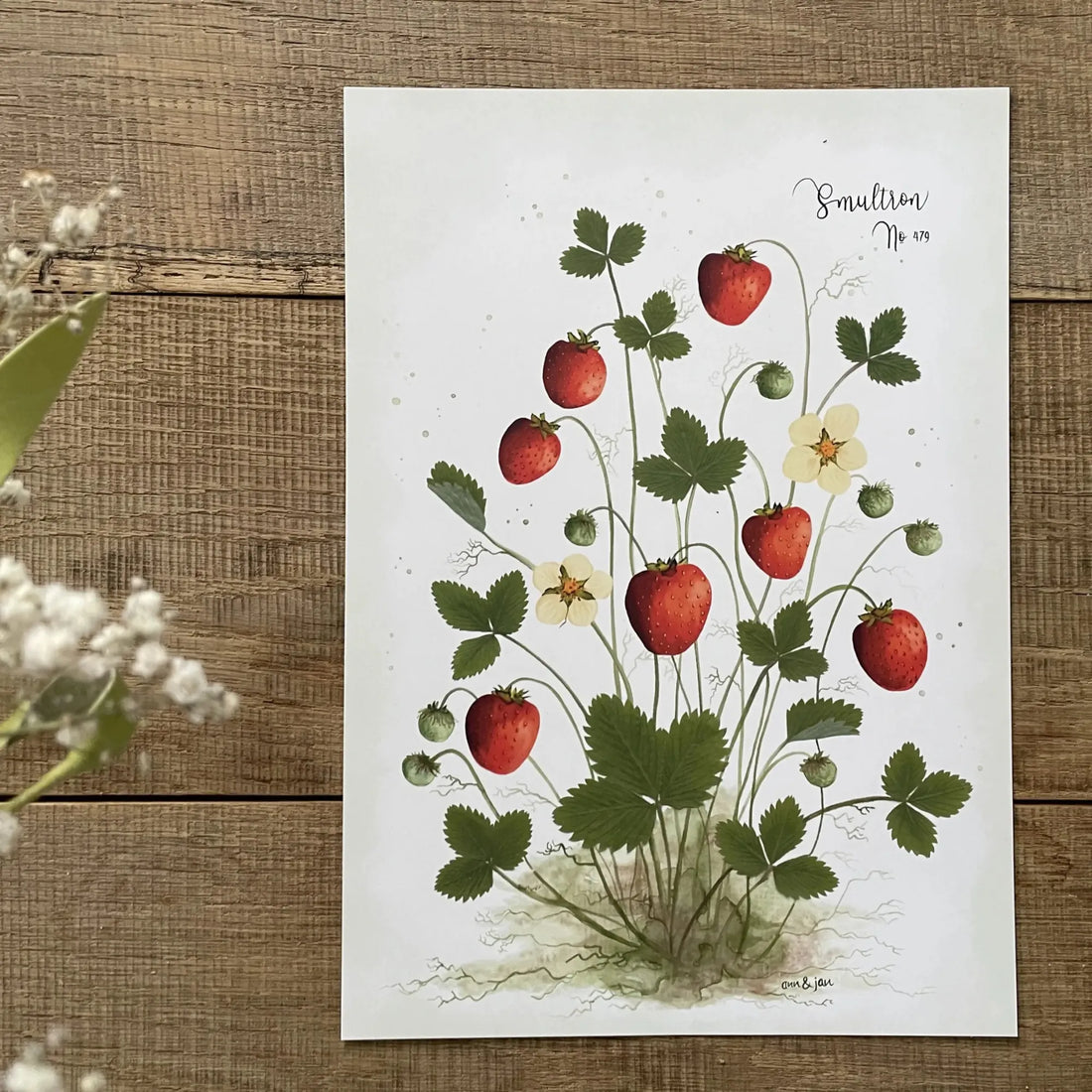 Ann & Jan Kunstdruck "Smultron No. 479“" Poster DIN A 4