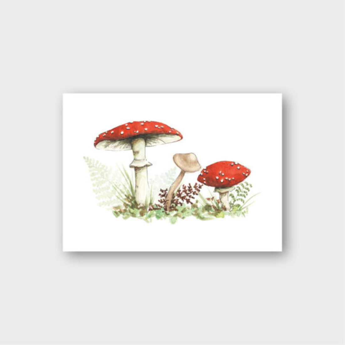 Frollein Lücke Postkarte "Fliegenpilz"