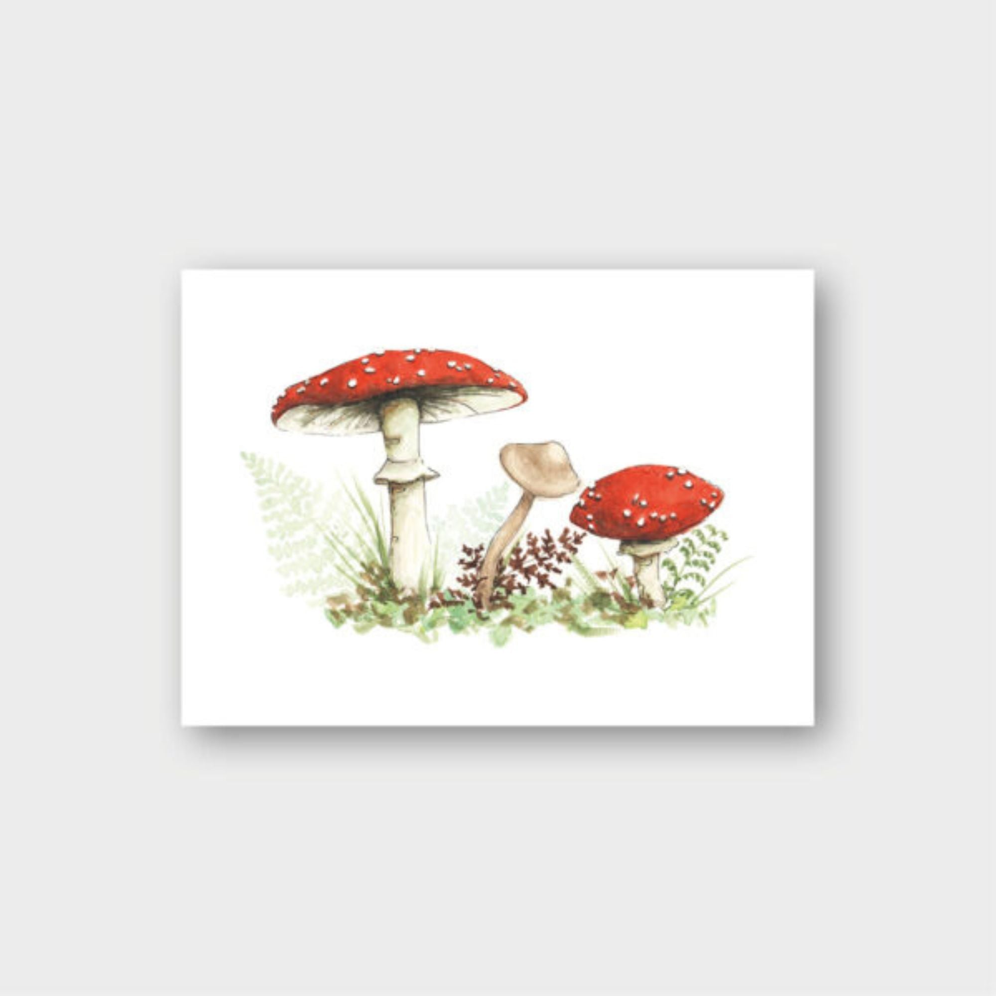 Frollein Lücke Postkarte "Fliegenpilz"