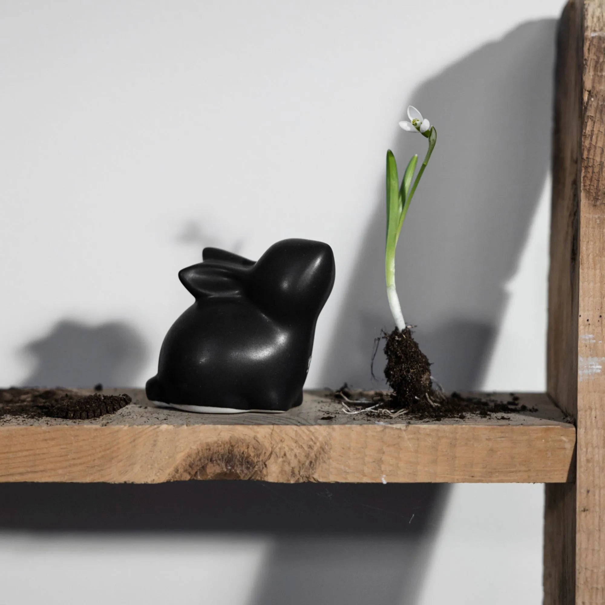 Storefactory Osterhase "Stina" schwarz 8 cm