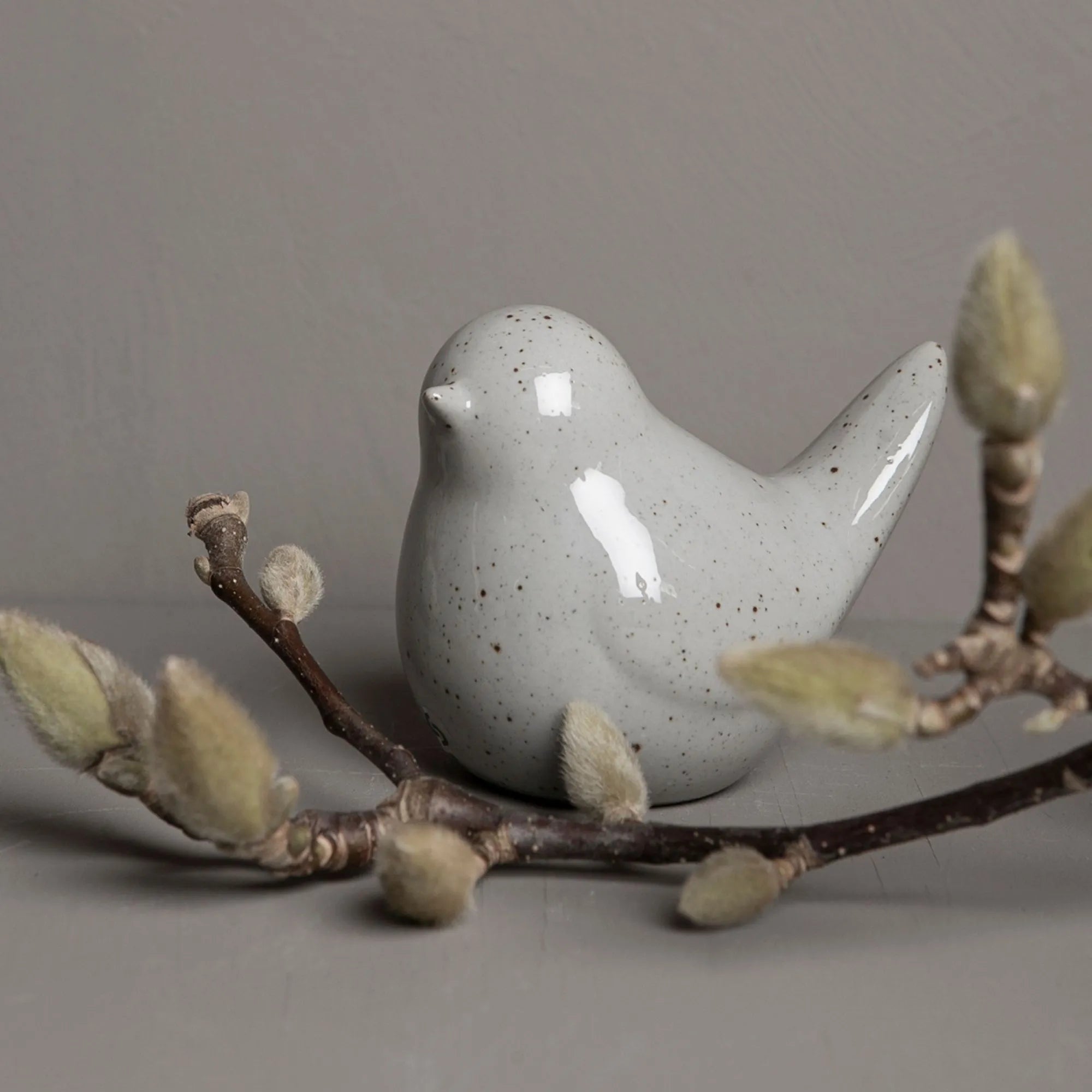 storefactory vogel hermann natur annaundoleshop