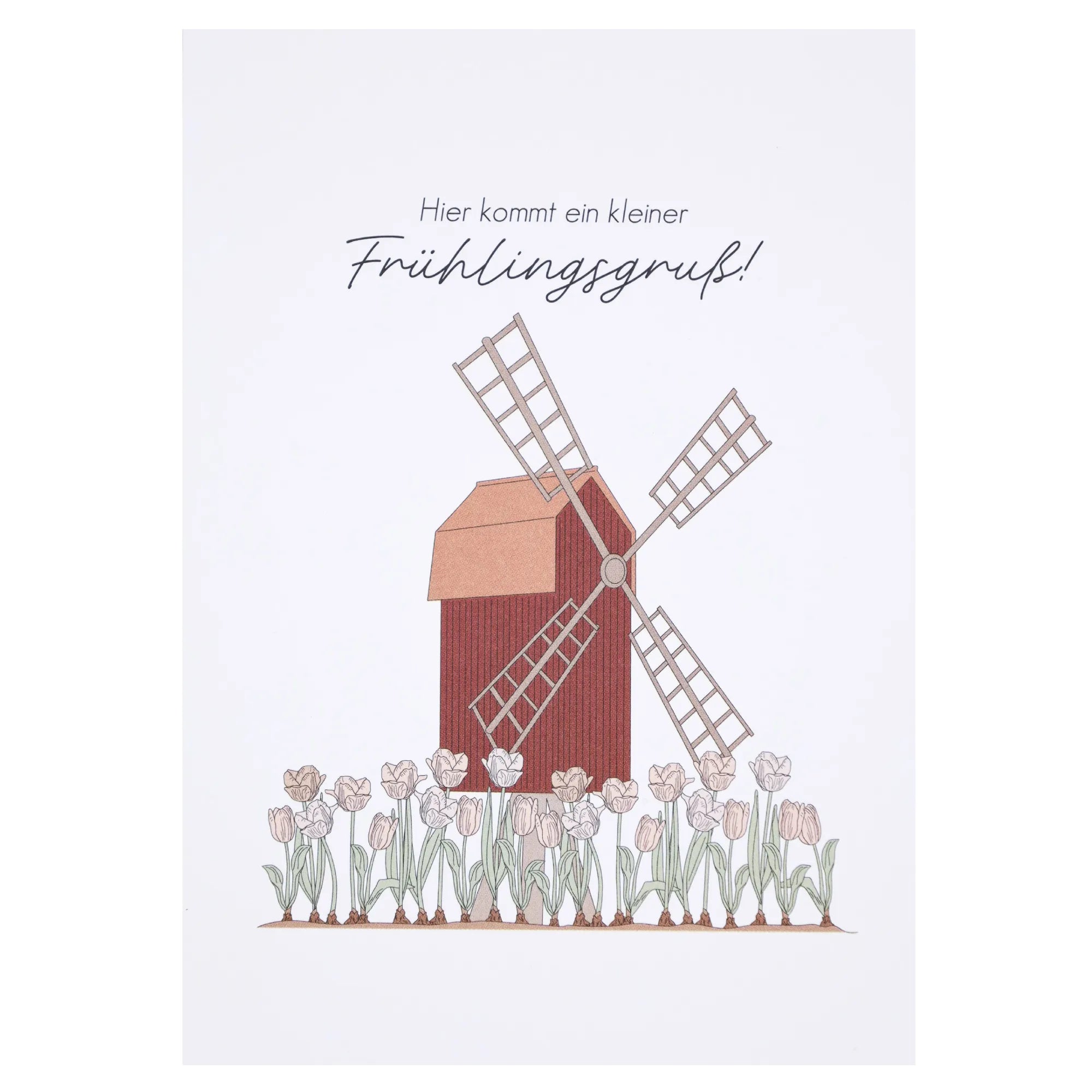 Verblühmeinnicht Postkarte "Hier kommt ein kleiner Frühlingsgruß"