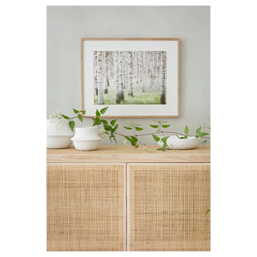 Storefactory Birch Forest Poster 50 x 70 cm - Poster