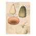 Sköna ting poster anno 1550 18 x 24 cm anna und ole shop