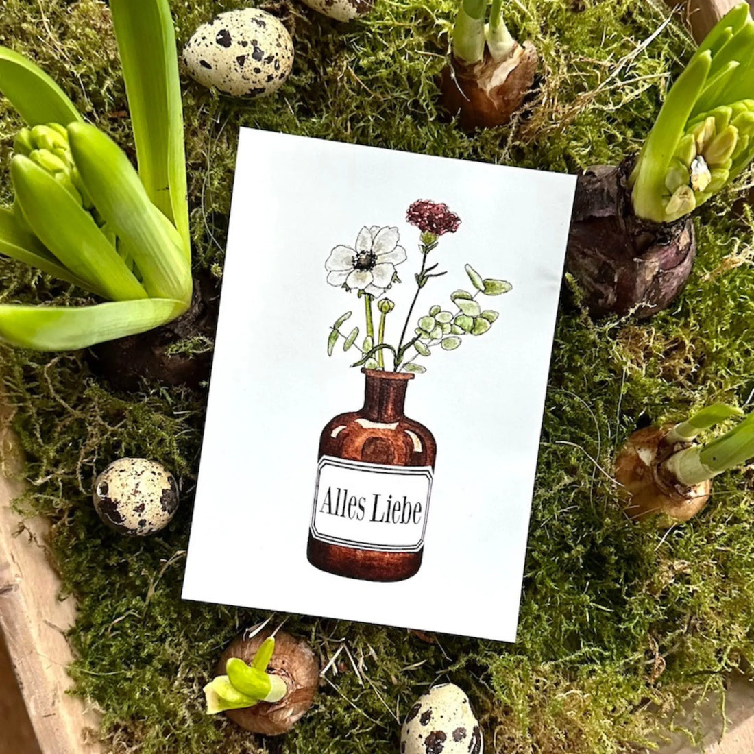 Frollein Lücke Postkarte "Geburtstagsblumen"