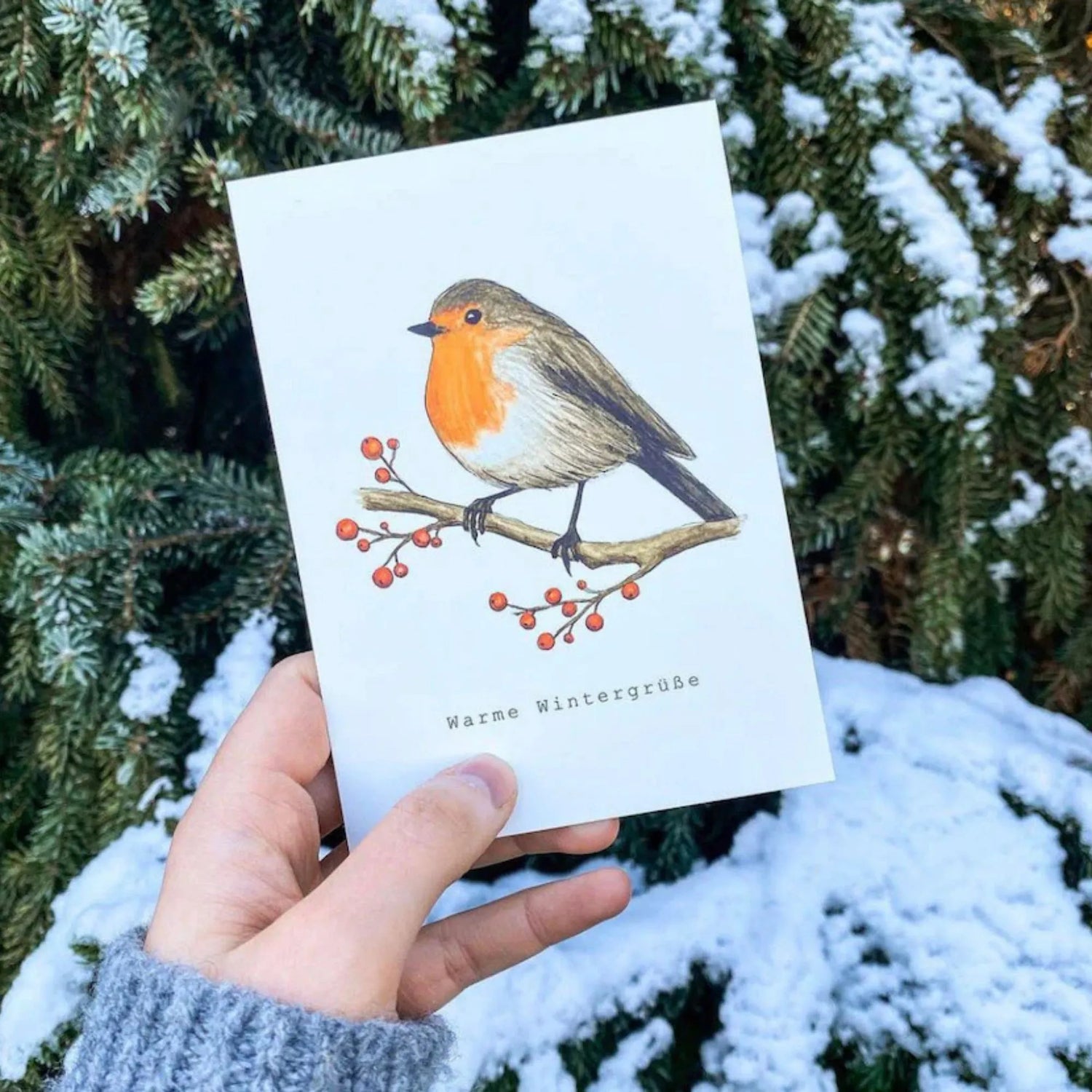 frollein lücke postkarte wintervogel anna und ole weihnachten