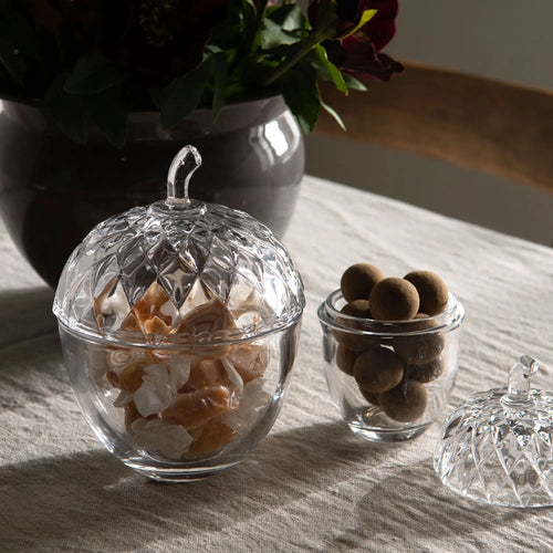 A lot Decoration Glasbehälter Schale Aufbewahrung "Eichel" mit Deckel
