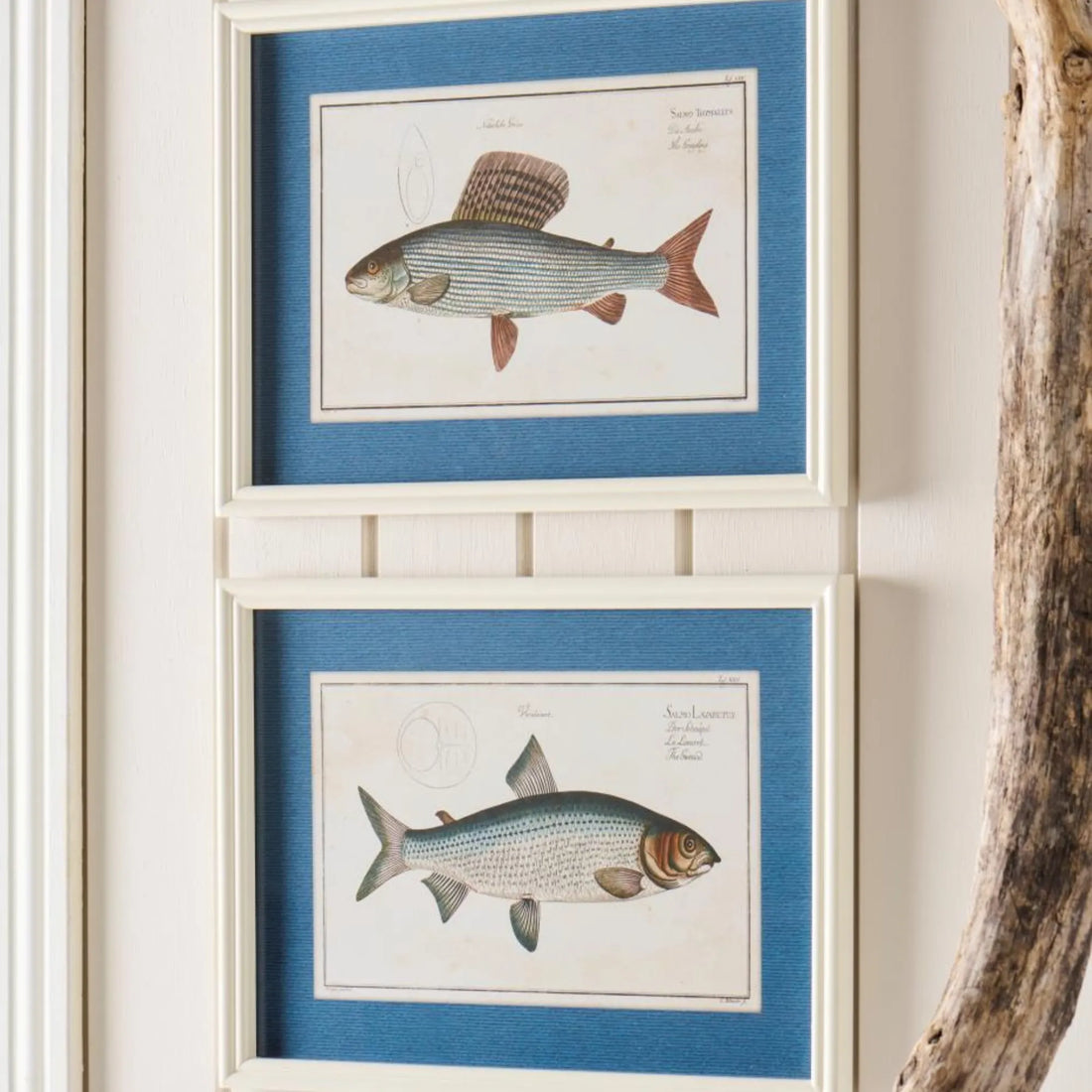 ib laursen bild fisch anna und ole shop