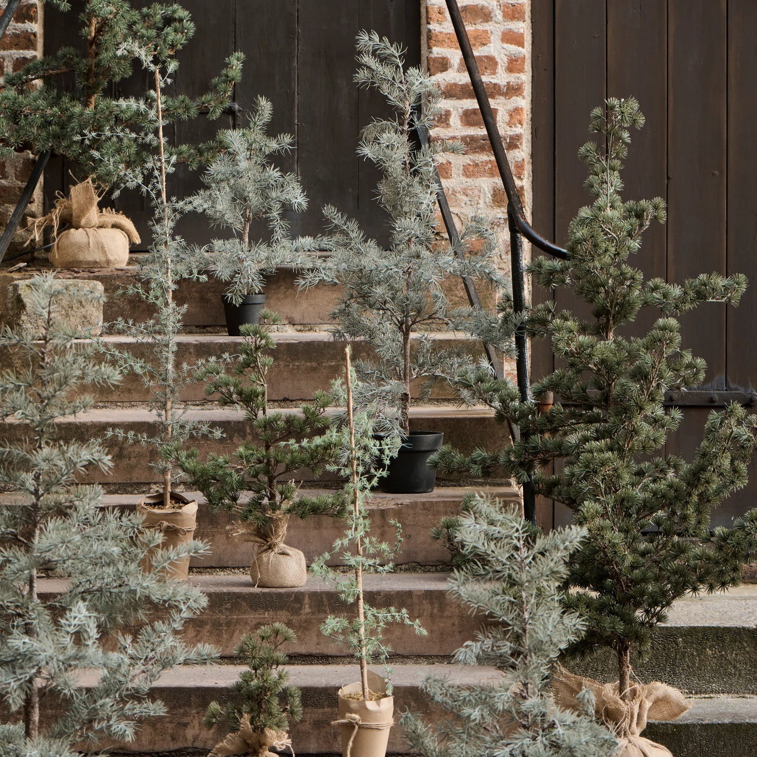 Ib Laursen künstlicher Zedernbaum 60 cm