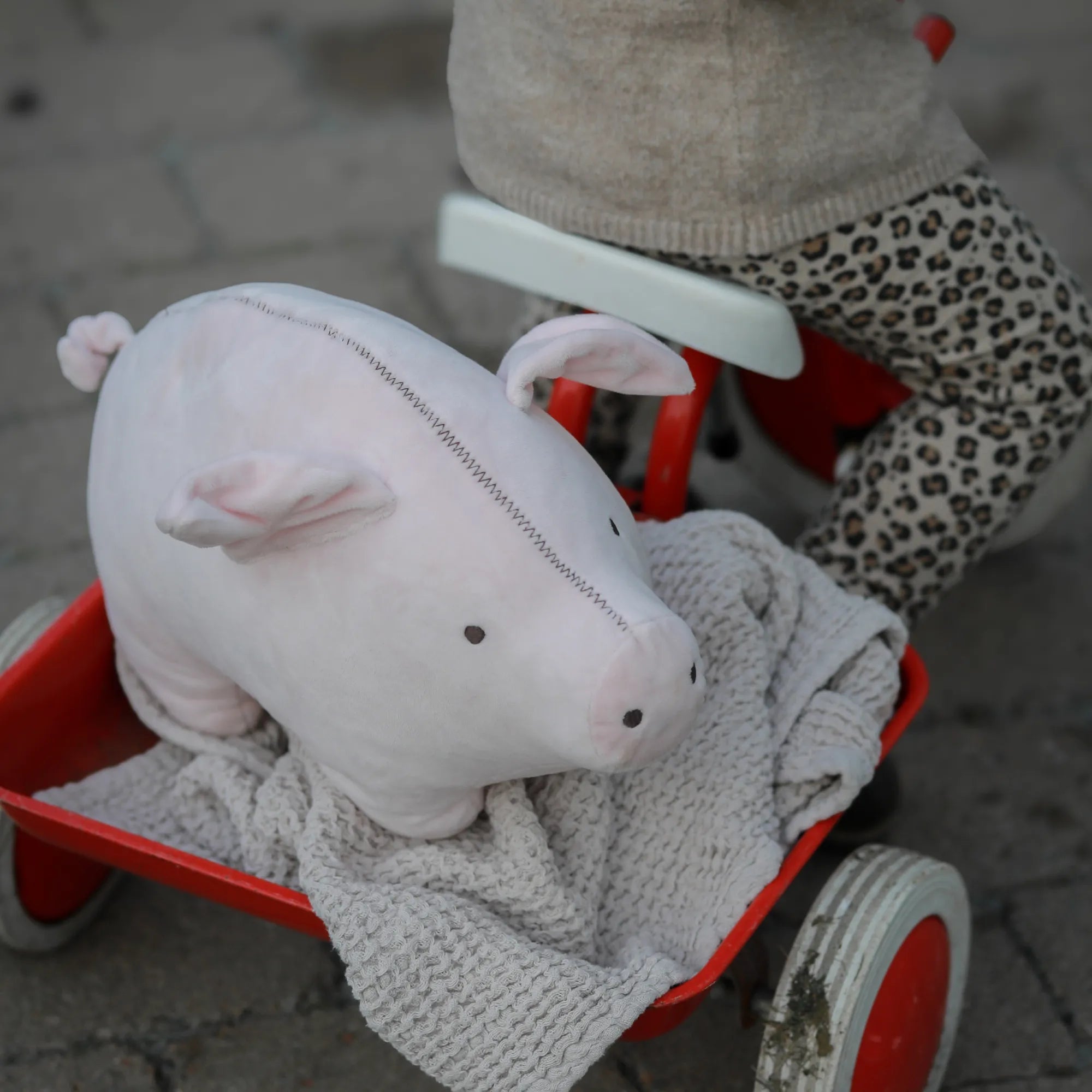 Rätt Start "Lotta aus der Krachmacherstraße" Kuscheltier Schwein "Teddy"